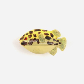 ǰ̹
