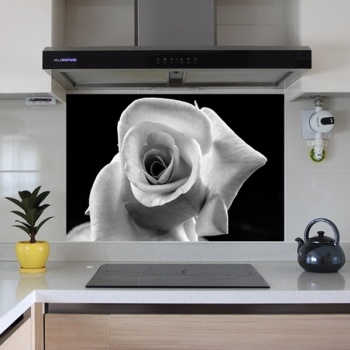 ǰ̹