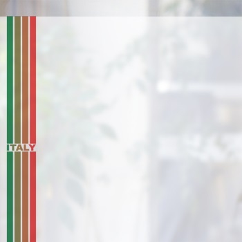 ǰ̹