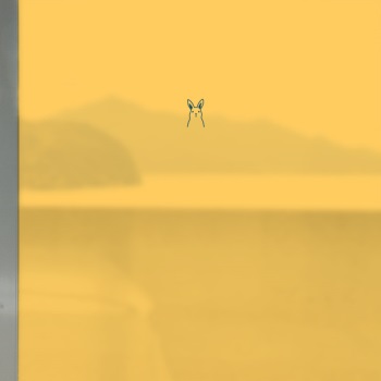 ǰ̹