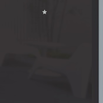 ǰ̹