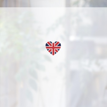 ǰ̹