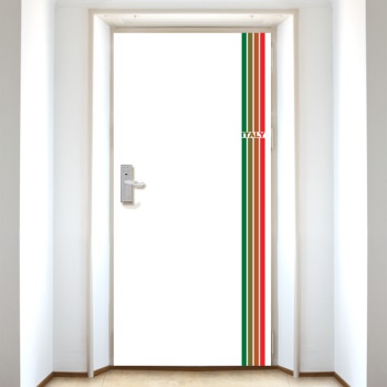 ǰ̹