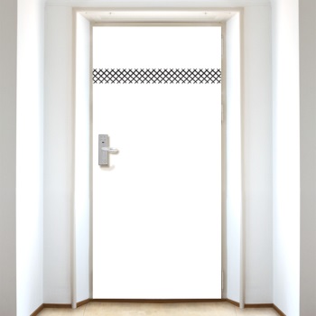ǰ̹