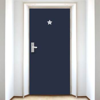 ǰ̹