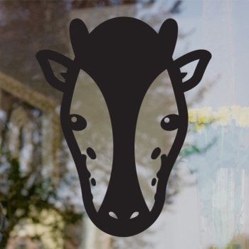 ǰ̹