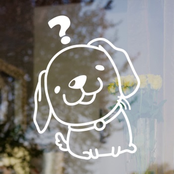 ǰ̹