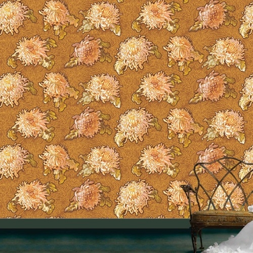 ��ǰ�̹���