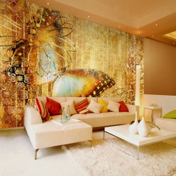 ��ǰ�̹���