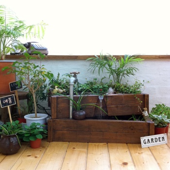 ��ǰ�̹���