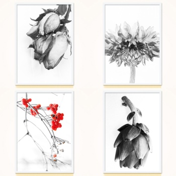 ��ǰ�̹���