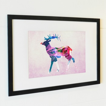 ��ǰ�̹���