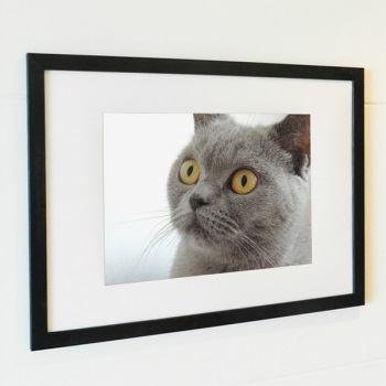 ��ǰ�̹���