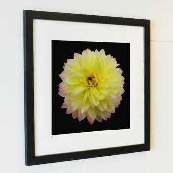 ��ǰ�̹���