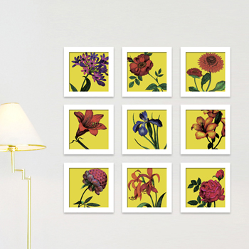 ��ǰ�̹���